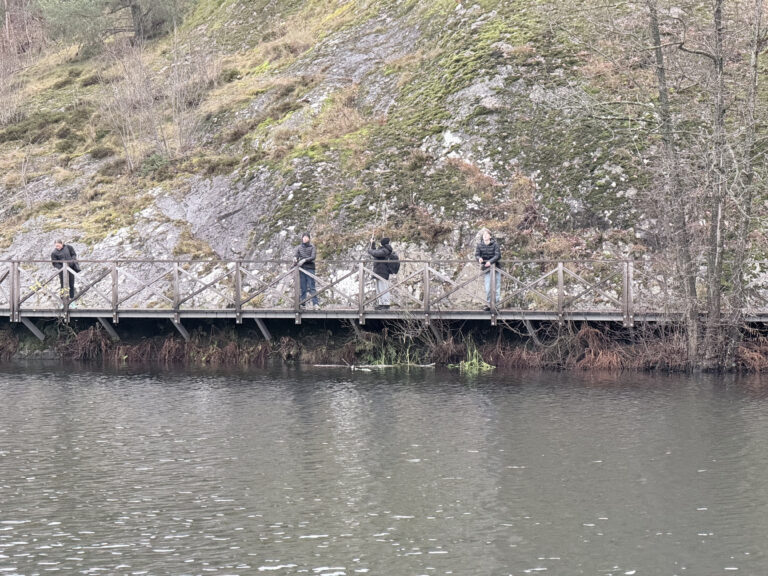 🎣 Fisketur – Trekanten – 7 december 2025