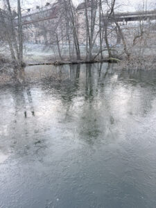 Fiskdag vid Trekanten – 22 december 2025