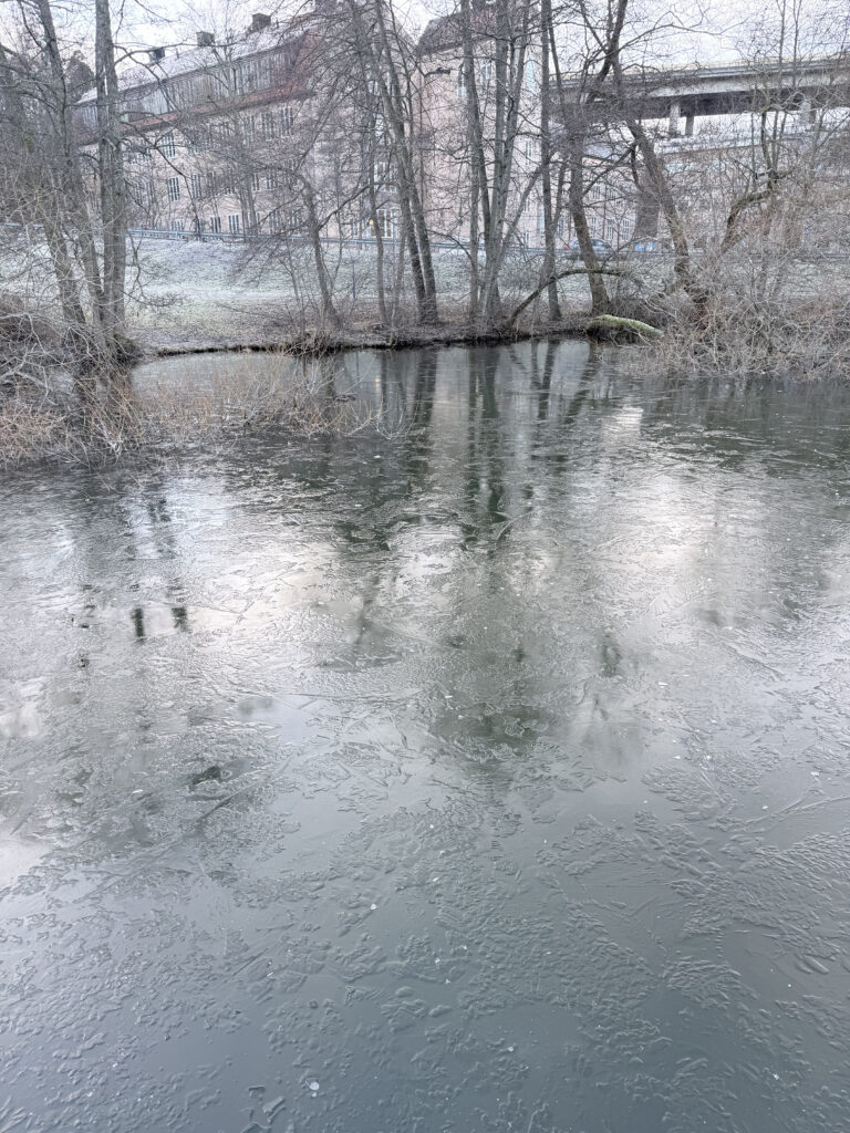 Fiskdag vid Trekanten – 22 december 2025