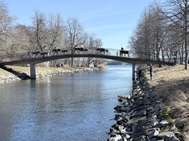 🎣 Fiskedag på Djurgårdsbrunnskanalen & Sickla kanal/Vassparken – 21 mars 🐟