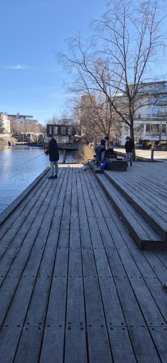 🎣 Fiskedag i Sickla – 22 mars 🐟
