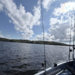 IMG_0358-0.jpeg