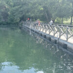 IMG_1138-5.jpeg