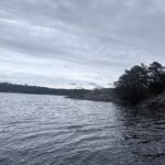 IMG_1151-0.jpeg