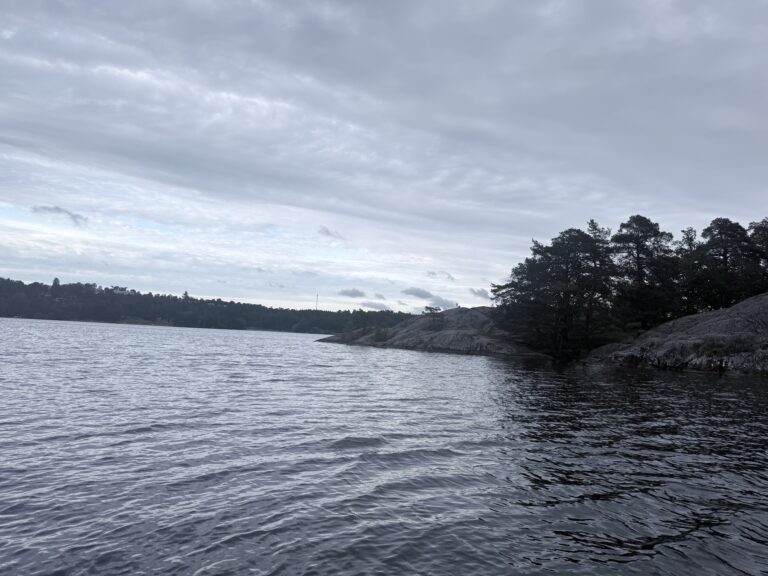 🎣 Fisketur på Mälaren – 9 juni 🐟