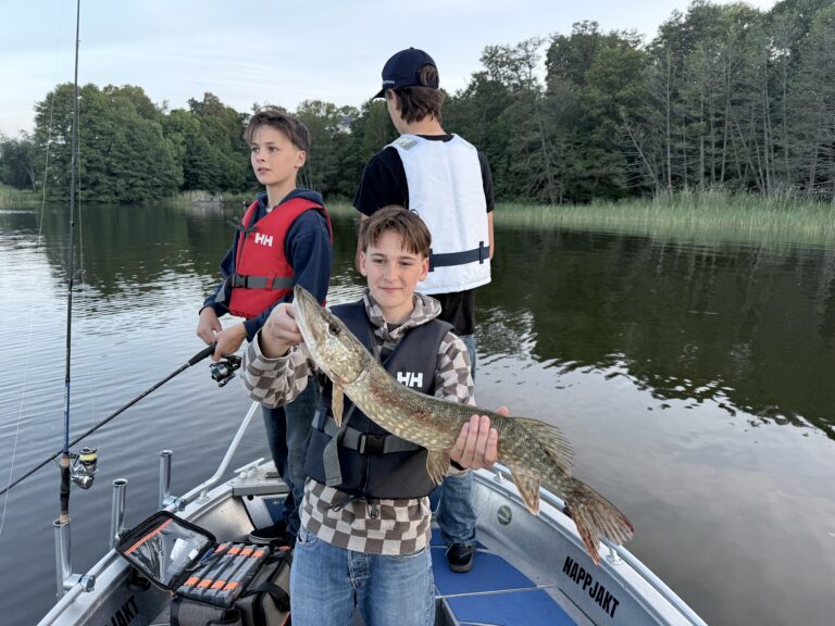 🎣 Fisketur på Mälaren – onsdag 17 juni