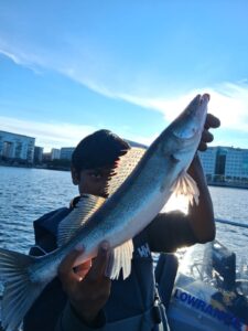Fisketur Marievik – 28 juli 2026