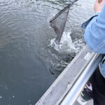 IMG_2121-4.jpeg